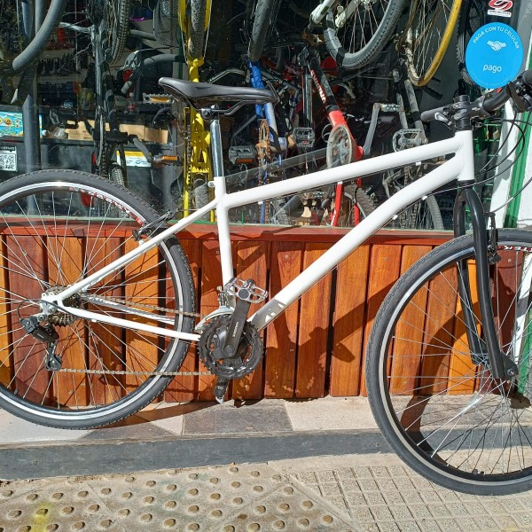 Bicicleta MTB | R29 | hierro | Roda2oro